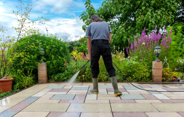 Best Parking Lot and Garage Cleaning  in Green Forest, AR